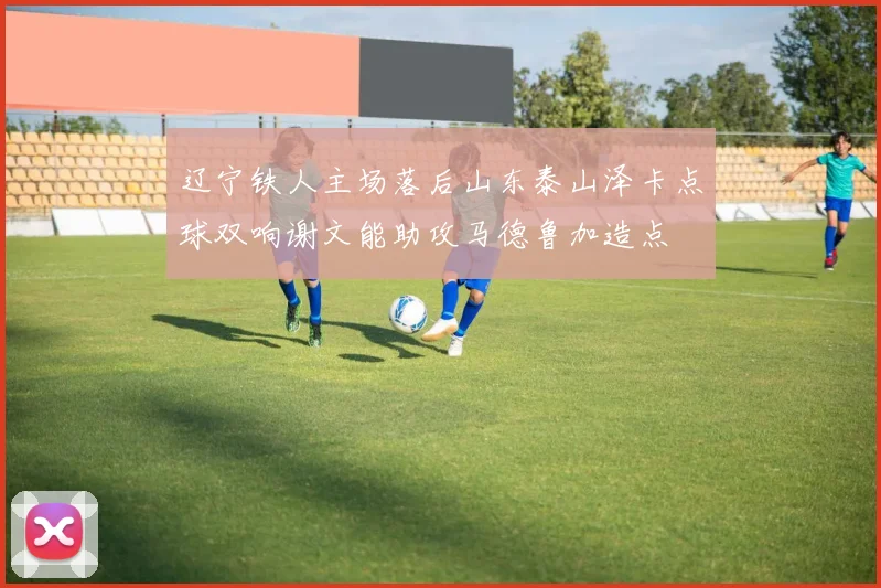 辽宁铁人主场落后山东泰山泽卡点球双响谢文能助攻马德鲁加造点