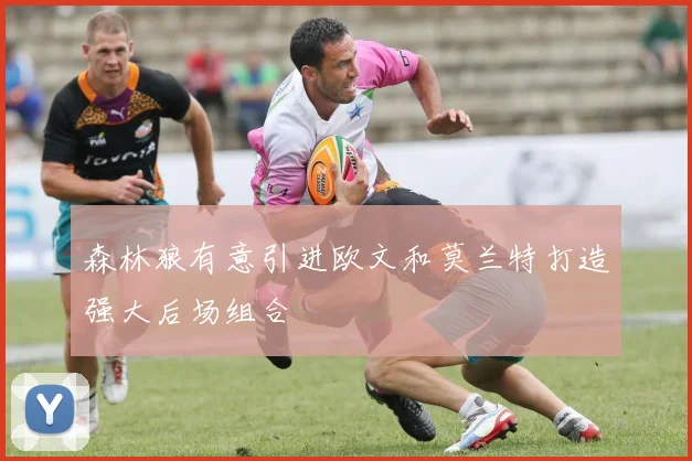 森林狼有意引进欧文和莫兰特打造强大后场组合